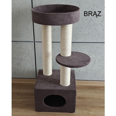 A-n 026